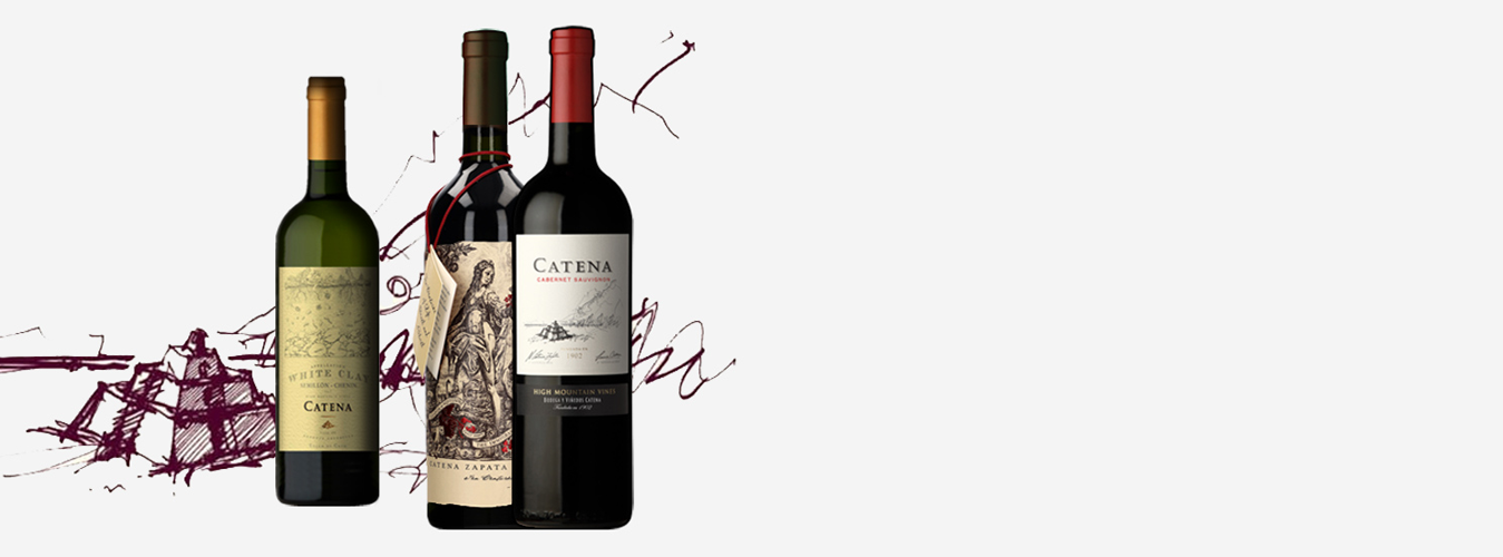 Argentine Wine; Malbec; Cabernet; Rutini; Catena Zapata; Luigi Bosca.
